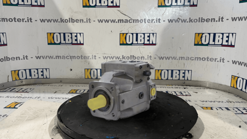 Kolben Spedizione rapida Pompa Rexroth A4VO250